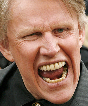 Booking Gary Busey